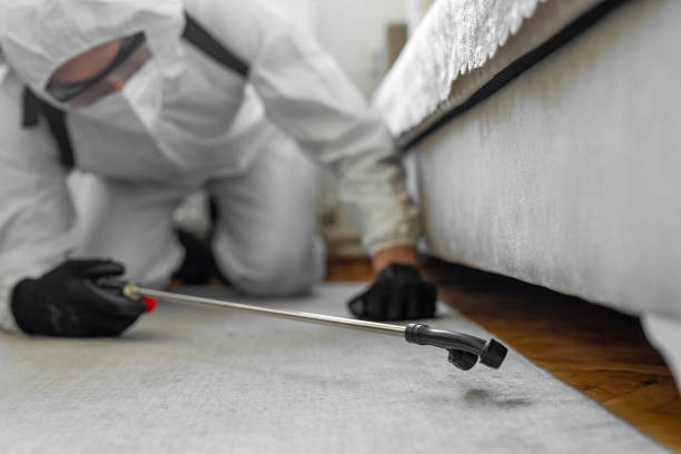Professional Termite Control technician working in Headland, AL