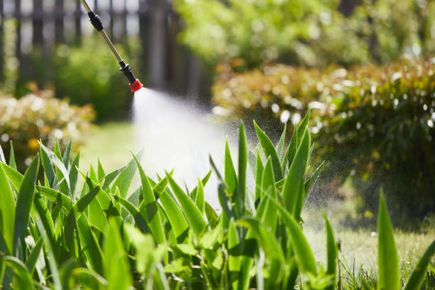 24/7 Emergency Termite Control experts in Headland, AL