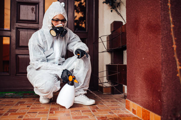 Reliable Termite Control contractor in Headland, AL by Nex Pest Control